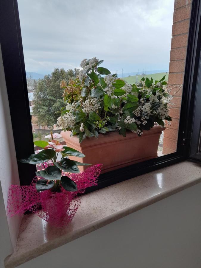 Torrenieri Un Passo Alla Volta מראה חיצוני תמונה